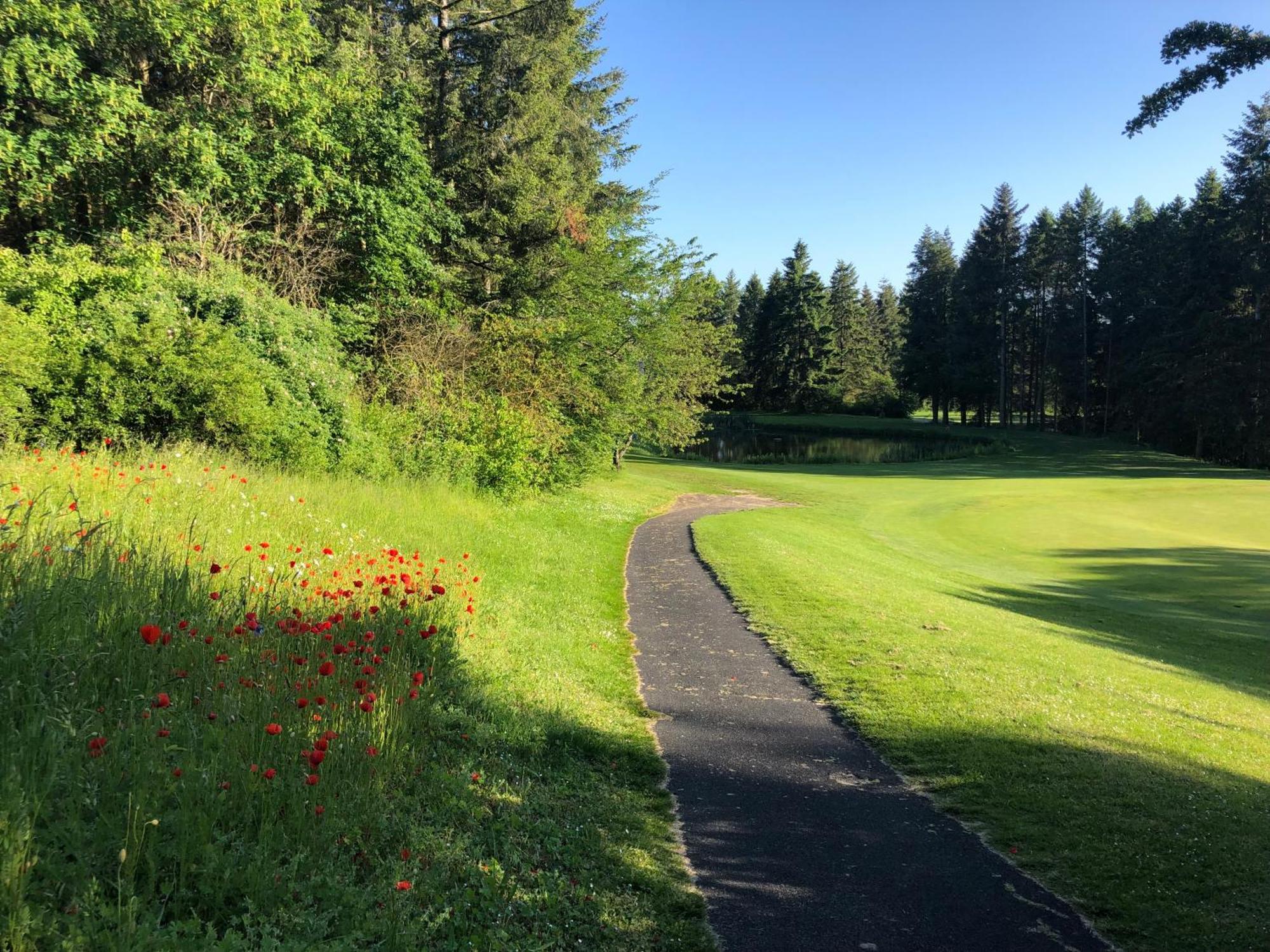 Gaestehaus Koehler Waldsolms Buitenkant foto
