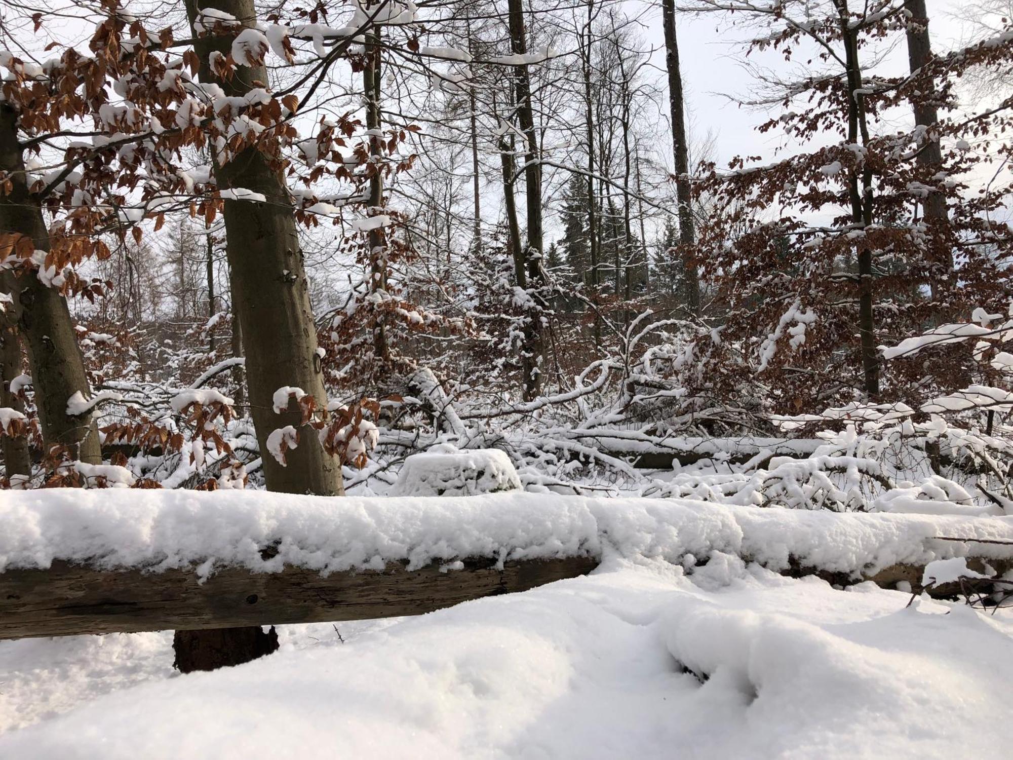 Gaestehaus Koehler Waldsolms Buitenkant foto