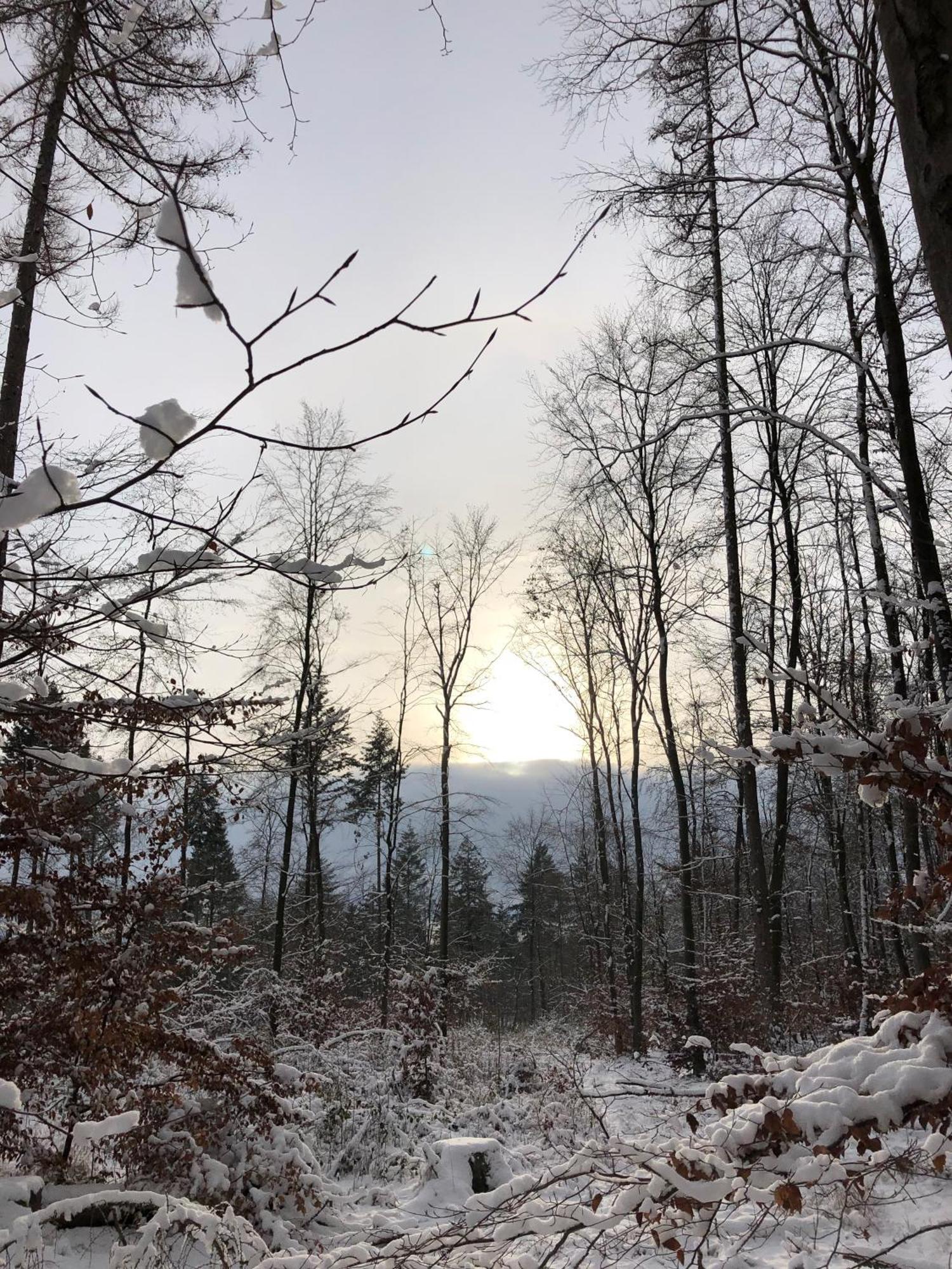 Gaestehaus Koehler Waldsolms Buitenkant foto