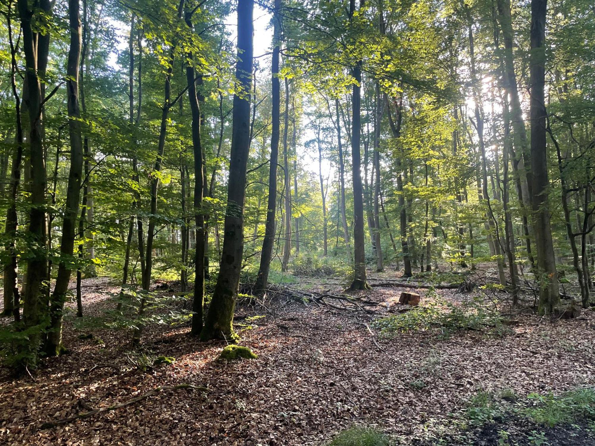 Gaestehaus Koehler Waldsolms Buitenkant foto