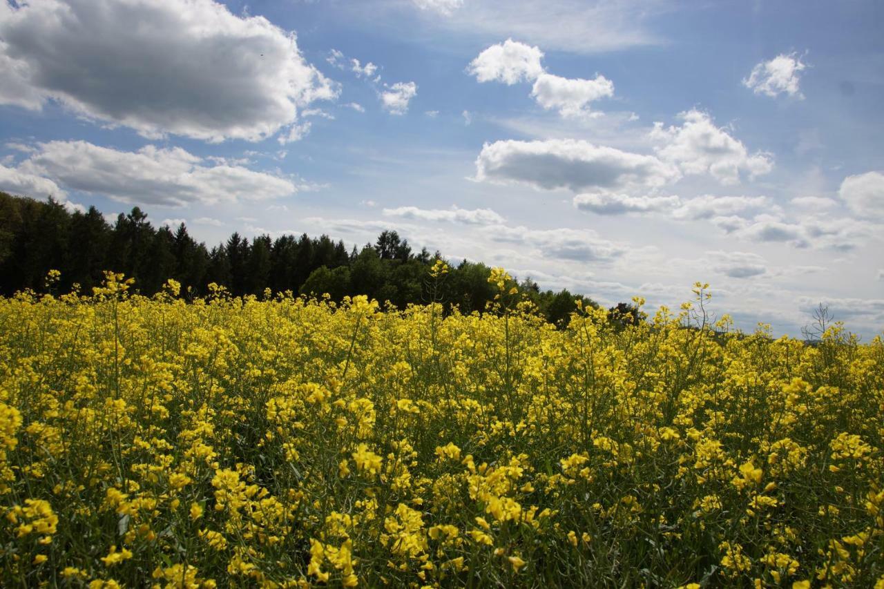 Gaestehaus Koehler Waldsolms Buitenkant foto